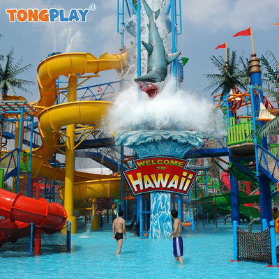 Village Outdoor Water Play Equipment Customized Splash Park Playground