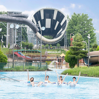 Hot Sale Fiberglass Pool Water Slide Space Bowl Water Slide Traditional Water Slide