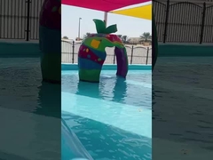 Small Animal Splash Park Outdoor Entertainment Water Splash Pad